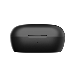 Bose QuietComfort Earbuds Charging Case